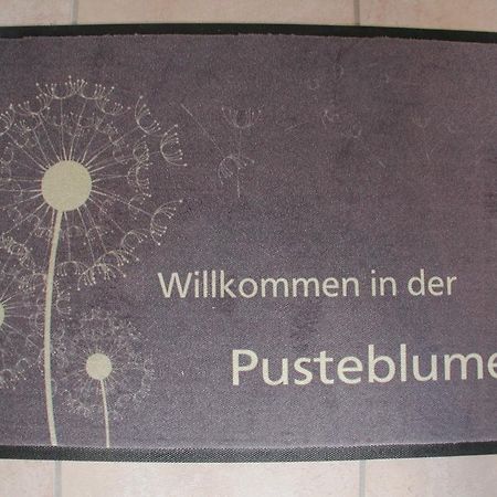 Ferienwohnung Pusteblume Cochem Camera foto